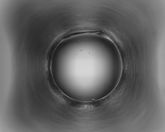 X0000116670543200912141342