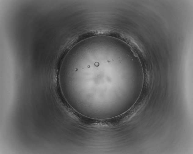 X0000116670545200912141342