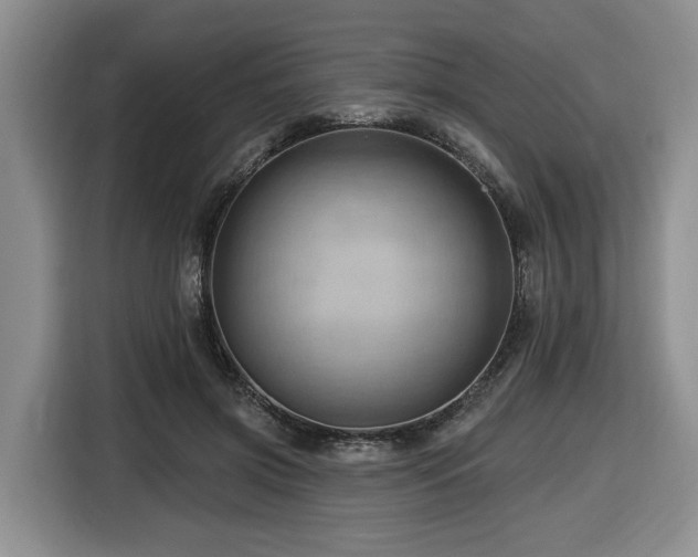 X0000116670549200912141342