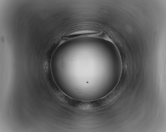 X0000116670551200912141342