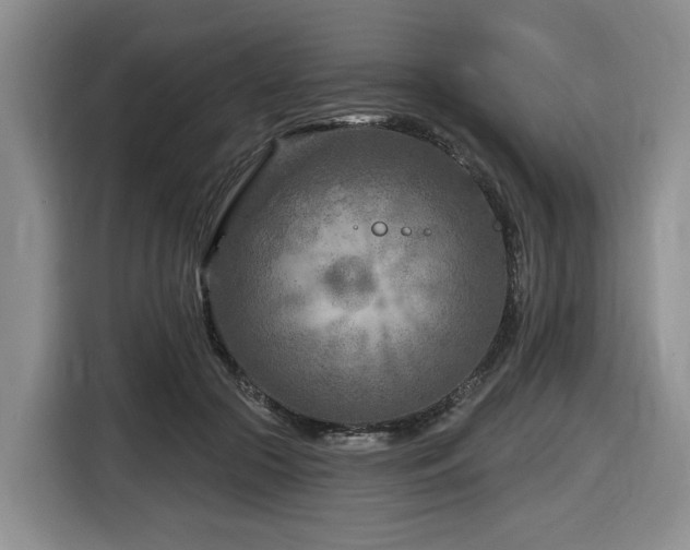 X0000116670553200912141343