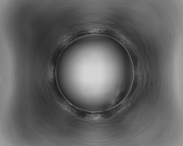 X0000116670554200912141343