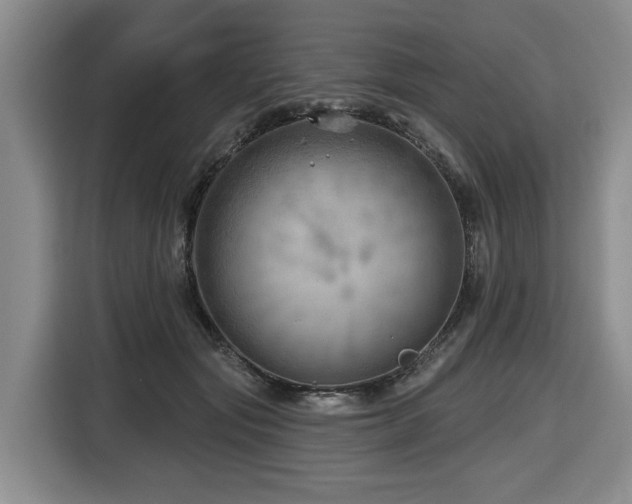 X0000116670557200912141343