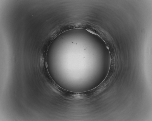 X0000116670558200912141343