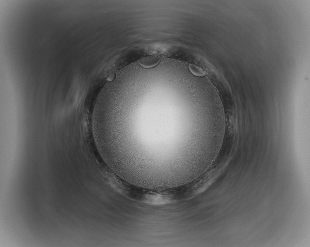 X0000116670561200912141343