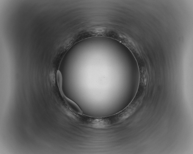 X0000116670562200912141343