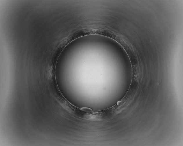 X0000116670563200912141343