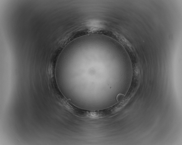 X0000116670565200912141343