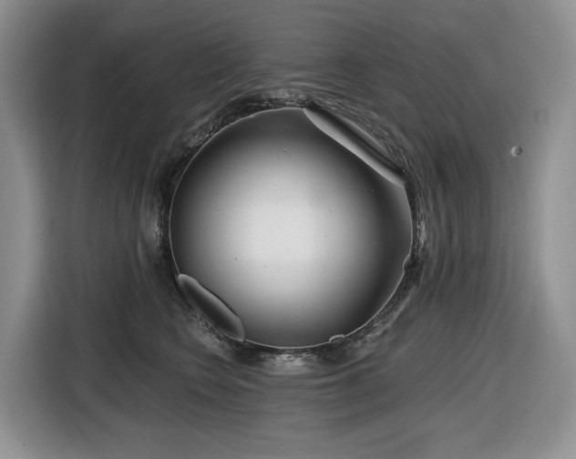 X0000116670566200912141343