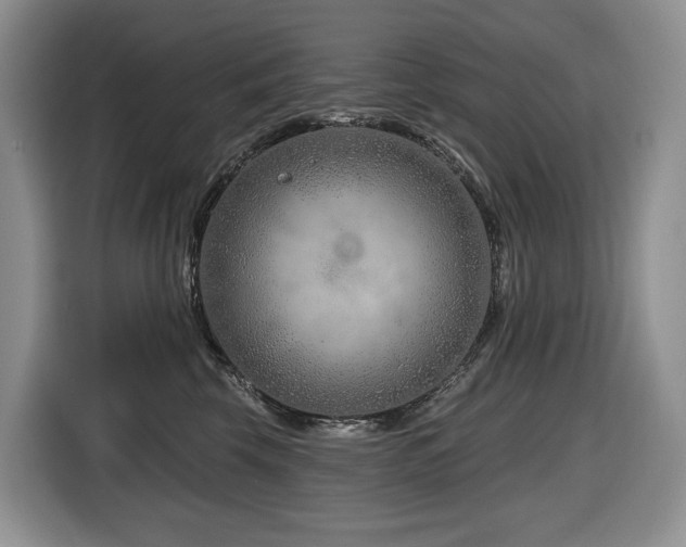 X0000116670569200912141343