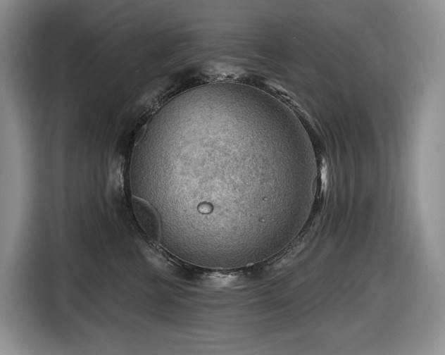 X0000116670570200912141343