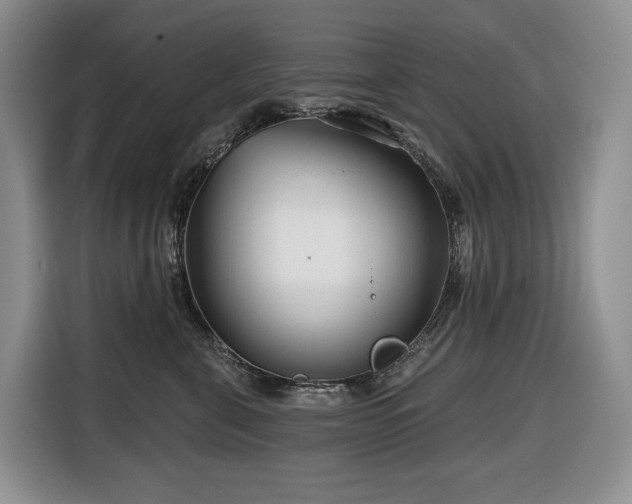 X0000116670571200912141343