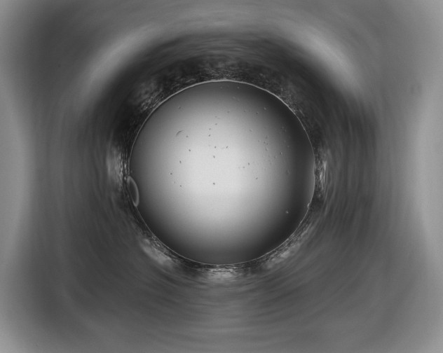 X0000116670574200912141343