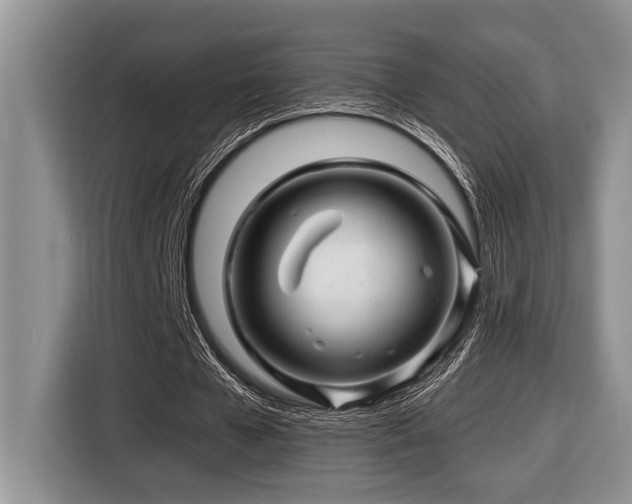 X0000116670577200912141342