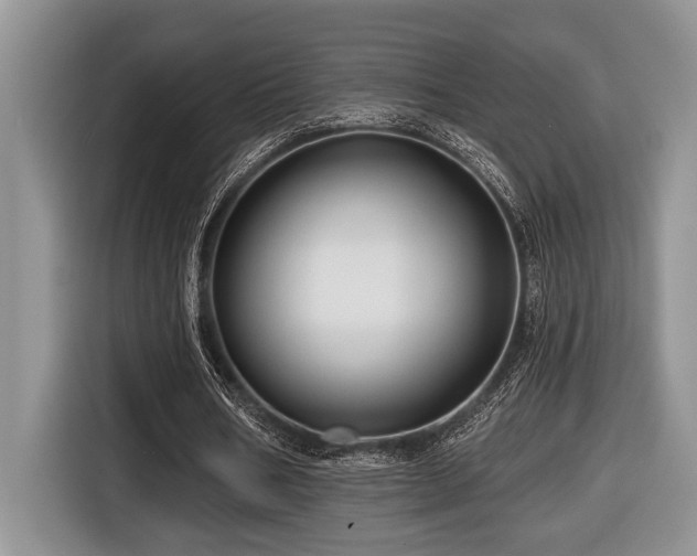 X0000116670578200912141342