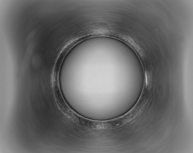 X0000116670579200912141342