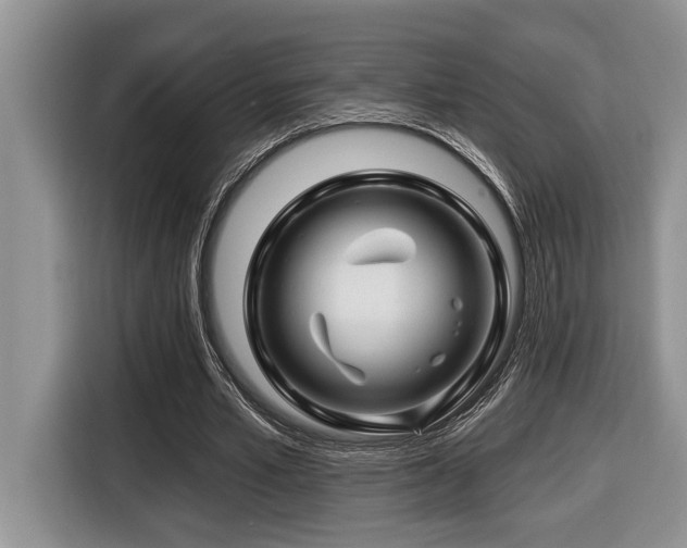 X0000116670581200912141342