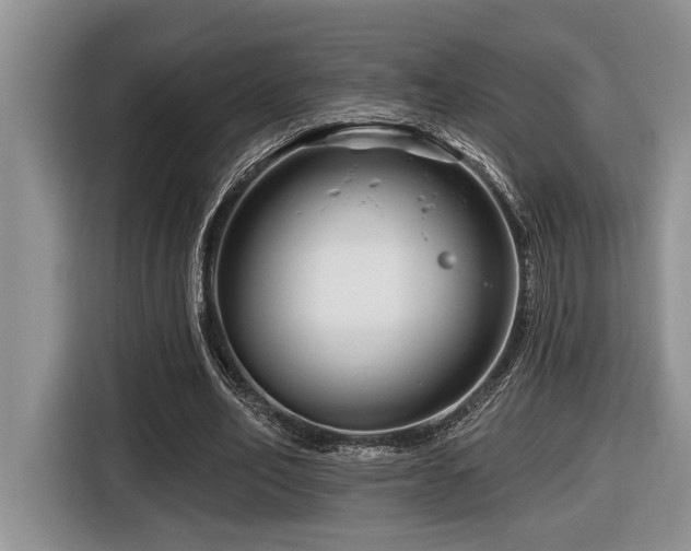 X0000116670582200912141342