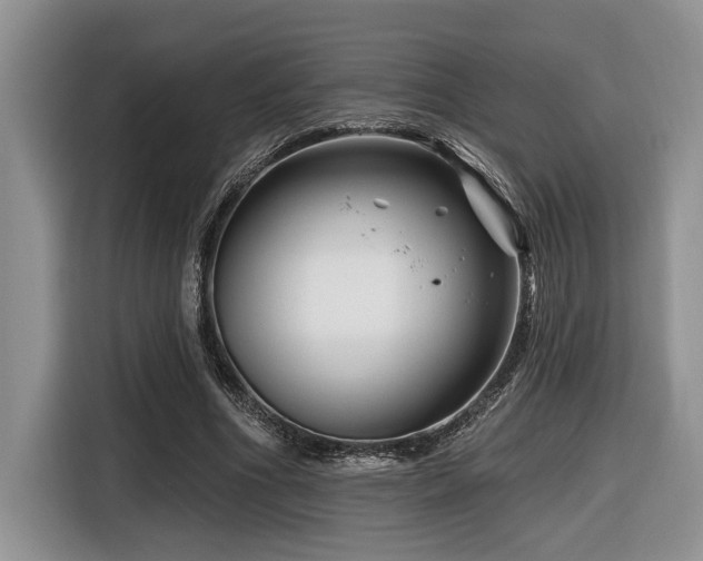 X0000116670586200912141342