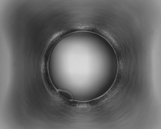 X0000116670587200912141342