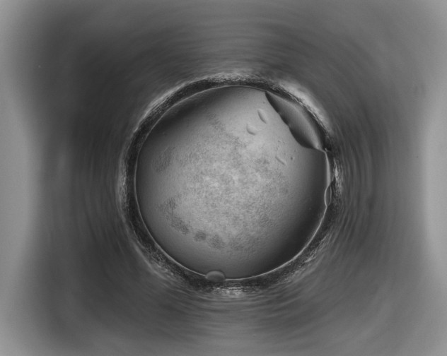 X0000116670588200912141342