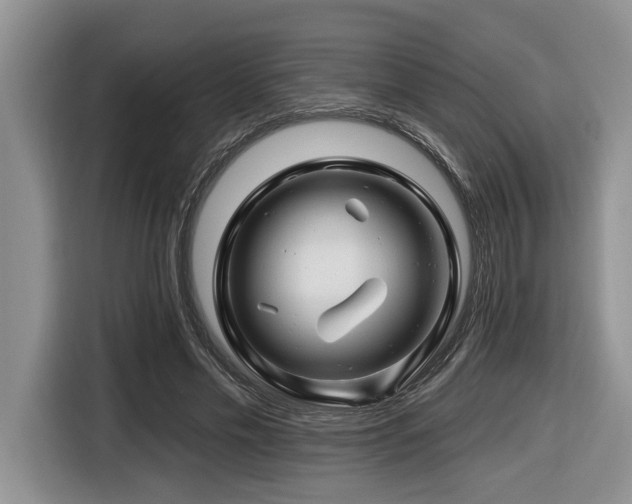 X0000116670589200912141342