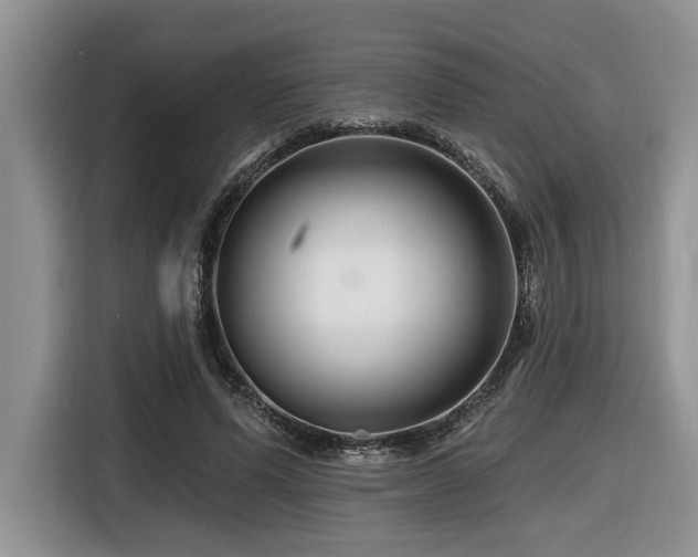 X0000116670591200912141342