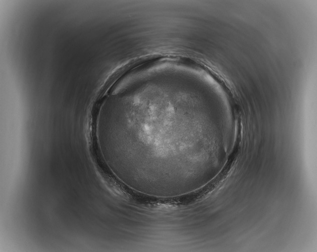 X0000116670592200912141342