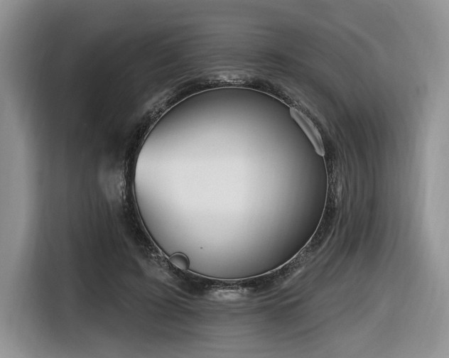 X0000116670595200912141342