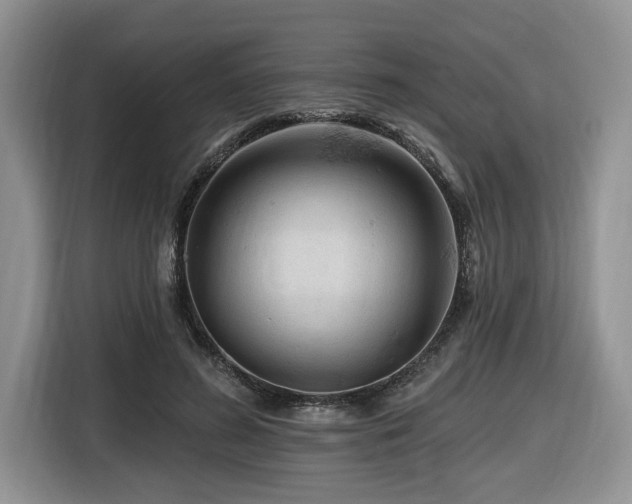 X0000116670596200912141342