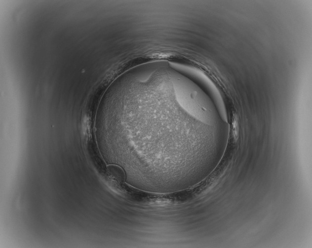 X0000116670598200912141342