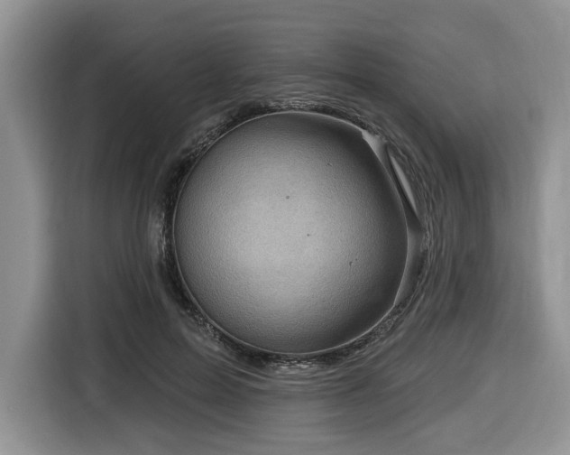 X0000116670599200912141342