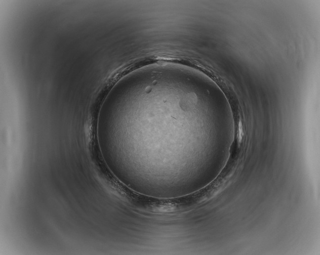 X0000116670600200912141342