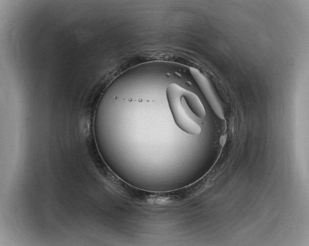 X0000116670602200912141342