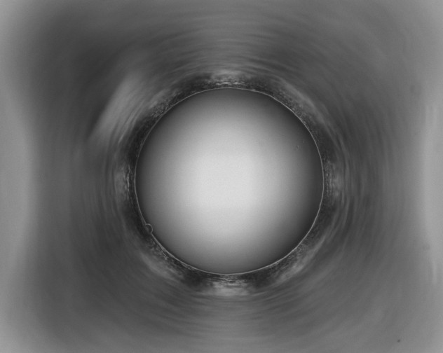 X0000116670603200912141342