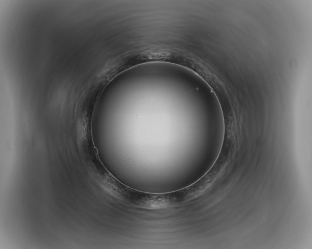 X0000116670604200912141342