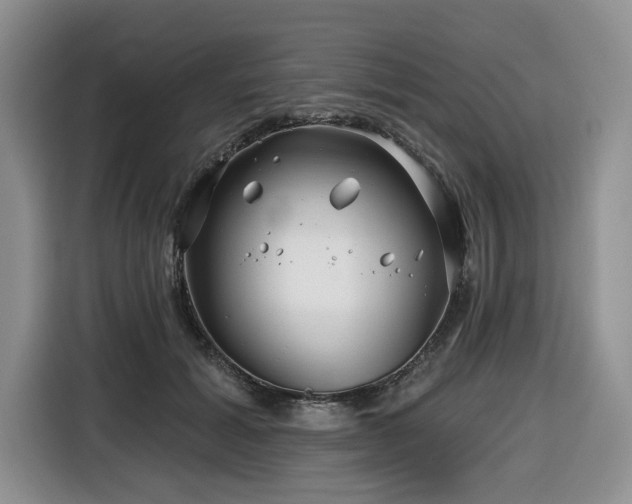 X0000116670605200912141342