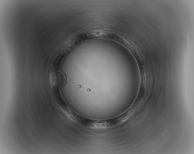 X0000116670606200912141342