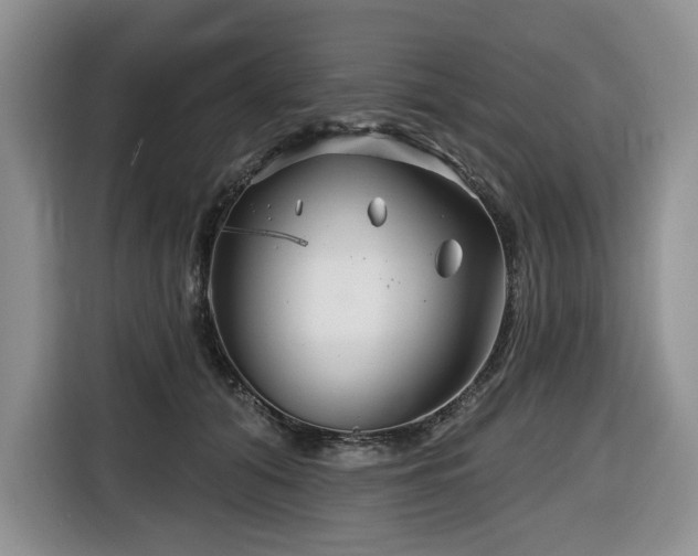 X0000116670608200912141342