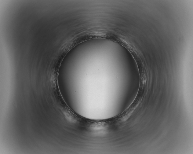 X0000116670609200912141342