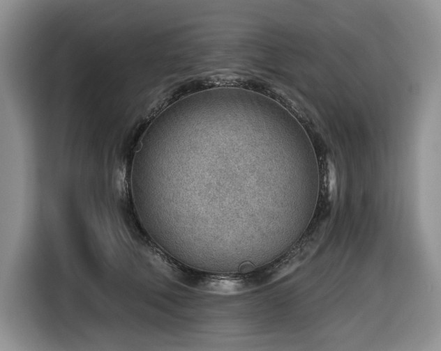 X0000116670610200912141342