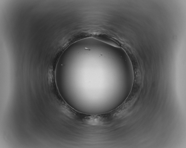 X0000116670612200912141342