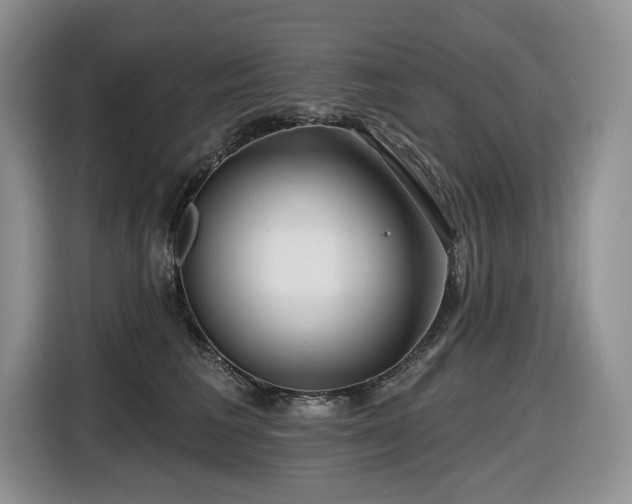 X0000116670613200912141342