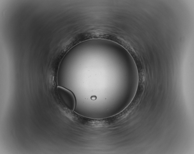 X0000116670615200912141342