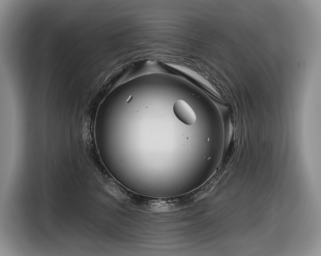 X0000116670616200912141342