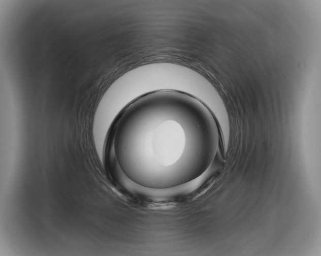 X0000116670617200912141342