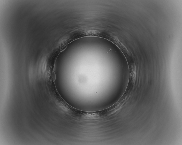 X0000116670619200912141342