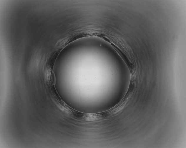 X0000116670623200912141342