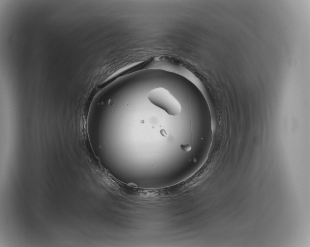 X0000116670624200912141342