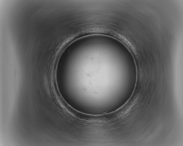 X0000116670625200912141341